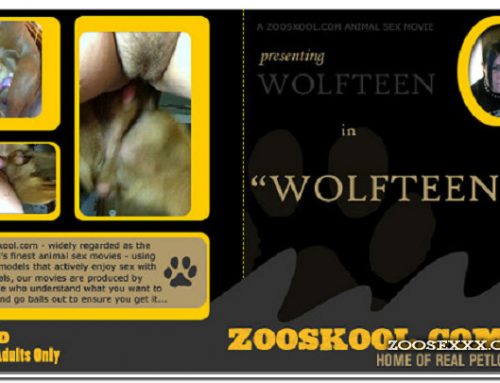Home Of Real PetLover – Wolf Teen Wolfteen 1