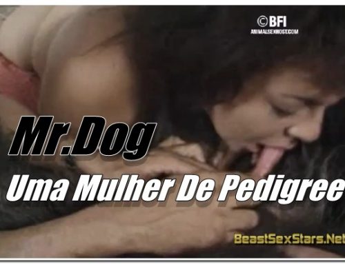 Mr.Dog – Uma Mulher De Pedigree