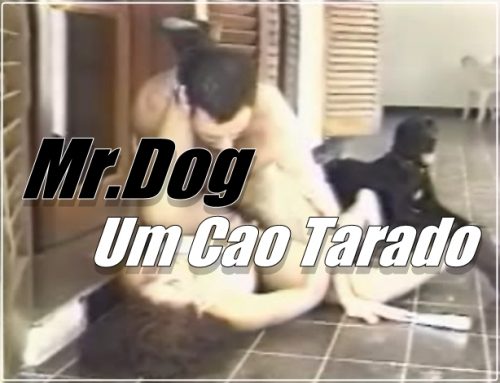 Mr.Dog – Um Cao Tarado