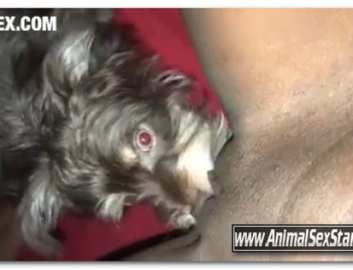 Amateur ZooSex – Puppy Enjoys Eating Virgin Pussy