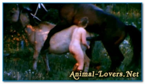Bodil Joensen – Animal Sex Pornstars – The Search For Animal Farm